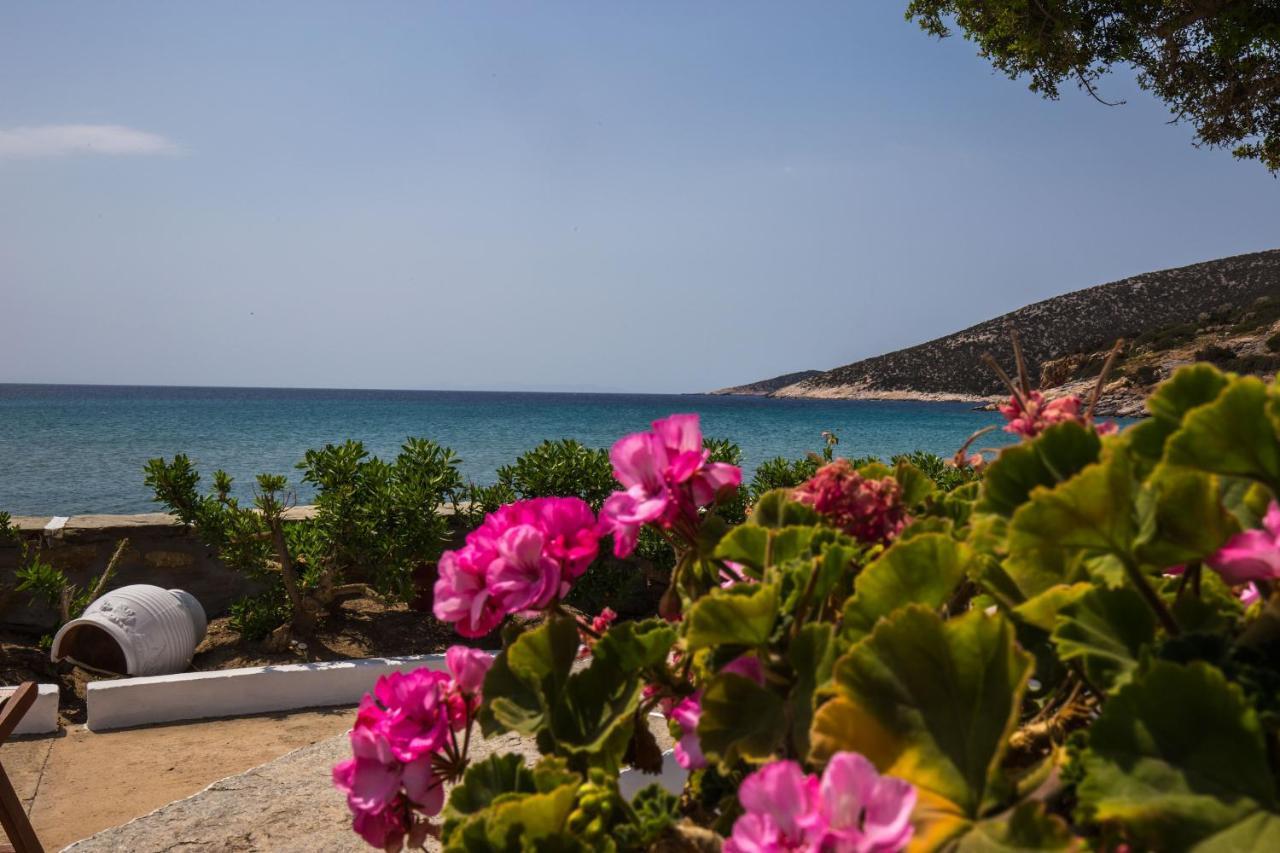Pension Ageliki Sifnos Platis Gialos  Zewnętrze zdjęcie